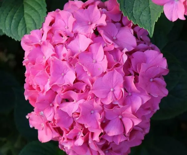 Casa Stetten Διαμέρισμα Lörrach